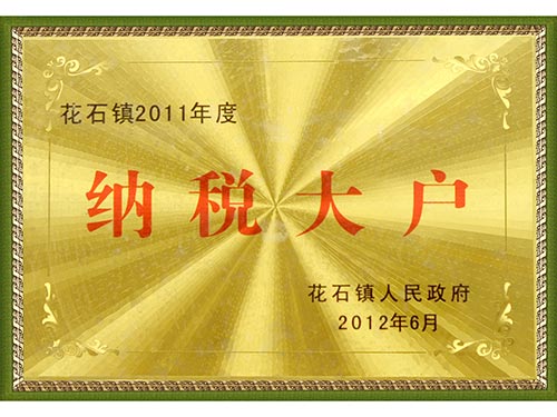 2011納稅大戶(hù)